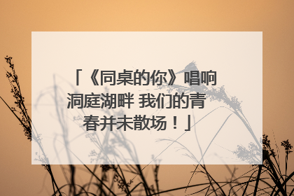 《同桌的你》唱响洞庭湖畔 我们的青春并未散场！