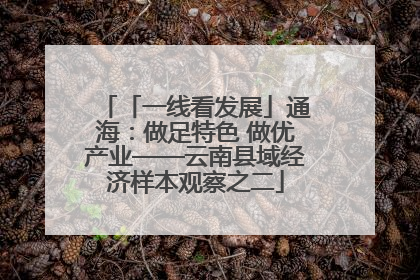 「一线看发展」通海：做足特色 做优产业——云南县域经济样本观察之二