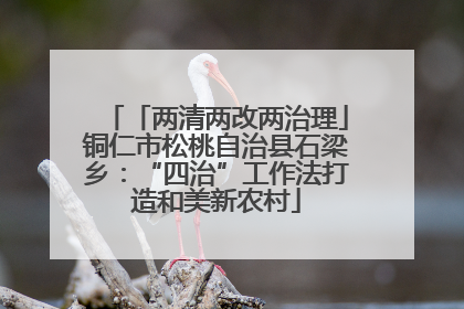 「两清两改两治理」铜仁市松桃自治县石梁乡：“四治”工作法打造和美新农村