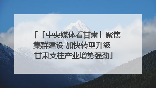 「中央媒体看甘肃」聚焦集群建设 加快转型升级 甘肃支柱产业增势强劲