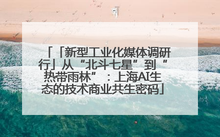 「新型工业化媒体调研行」从“北斗七星”到“热带雨林”：上海AI生态的技术商业共生密码