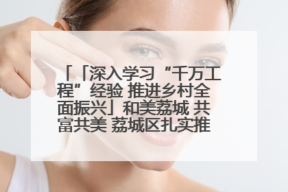 「深入学习“千万工程”经验 推进乡村全面振兴」和美荔城 共富共美 荔城区扎实推进乡村振兴工作