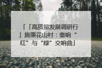 「高质量发展调研行」施秉花山村：奏响“红”与“绿”交响曲