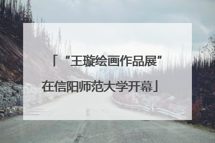 “王璇绘画作品展”在信阳师范大学开幕