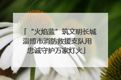 “火焰蓝”筑文明长城 淄博市消防救援支队用忠诚守护万家灯火