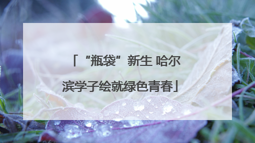 “瓶袋”新生 哈尔滨学子绘就绿色青春