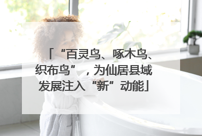 “百灵鸟、啄木鸟、织布鸟”，为仙居县域发展注入“新”动能