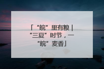 “皖”里有粮｜“三夏”时节，一“皖”麦香