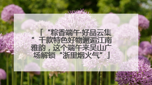 “粽香端午·好品云集”千款特色好物邂逅江南雅韵，这个端午来吴山广场解锁“浙里烟火气”