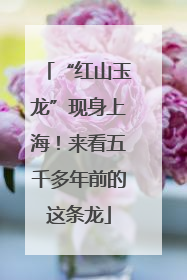 “红山玉龙”现身上海！来看五千多年前的这条龙
