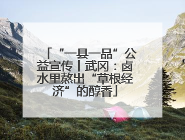 “一县一品”公益宣传丨武冈：卤水里熬出“草根经济”的醇香