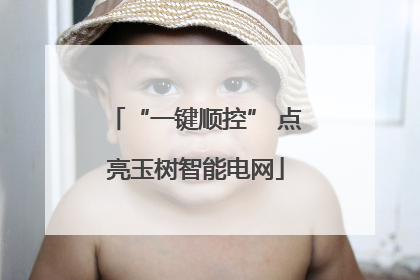 “一键顺控” 点亮玉树智能电网