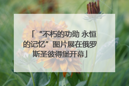 “不朽的功勋 永恒的记忆”图片展在俄罗斯圣彼得堡开幕