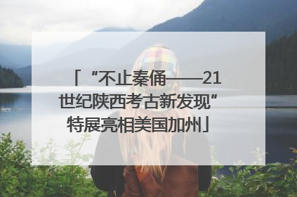 “不止秦俑——21世纪陕西考古新发现”特展亮相美国加州
