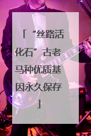 “丝路活化石”古老马种优质基因永久保存