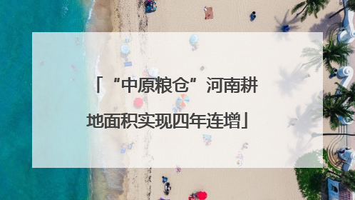 “中原粮仓”河南耕地面积实现四年连增