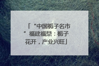 “中国栀子名市”福建福鼎：栀子花开，产业兴旺