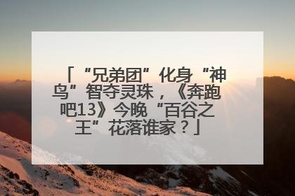 “兄弟团”化身“神鸟”智夺灵珠，《奔跑吧13》今晚“百谷之王”花落谁家？