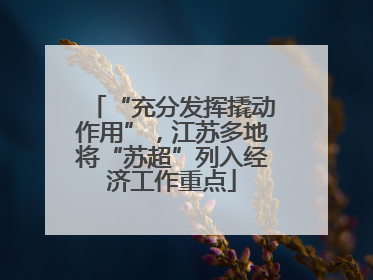 “充分发挥撬动作用”，江苏多地将“苏超”列入经济工作重点