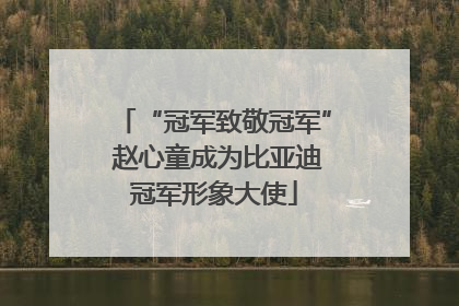 “冠军致敬冠军” 赵心童成为比亚迪冠军形象大使
