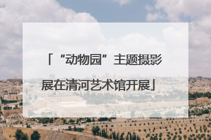 “动物园”主题摄影展在清河艺术馆开展