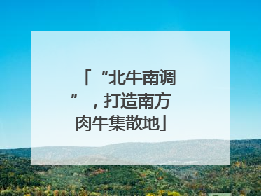 “北牛南调”，打造南方肉牛集散地