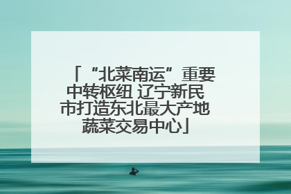 “北菜南运”重要中转枢纽 辽宁新民市打造东北最大产地蔬菜交易中心