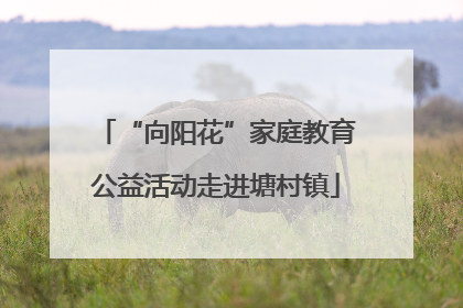 “向阳花”家庭教育公益活动走进塘村镇