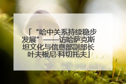 “哈中关系持续稳步发展”——访哈萨克斯坦文化与信息部副部长叶夫根尼·科切托夫