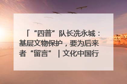 “四普”队长冼永城：基层文物保护，要为后来者“留言”｜文化中国行·我在广东找文物