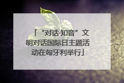 “对话·知音”文明对话国际日主题活动在匈牙利举行