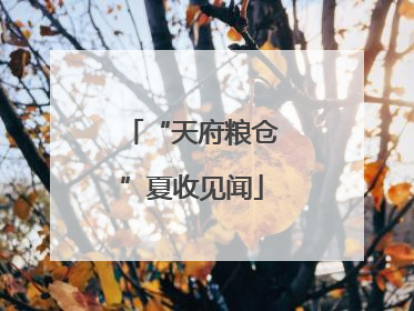 “天府粮仓”夏收见闻