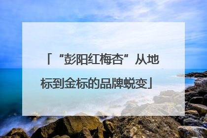 “彭阳红梅杏”从地标到金标的品牌蜕变