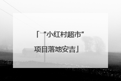 “小红村超市”项目落地安吉