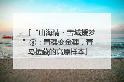 “山海情・雪域援梦”⑧：青稞变金稞，青岛援藏的高原样本