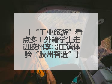 “工业旅游”看点多！外籍学生走进胶州李哥庄镇体验“胶州智造”