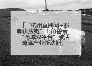 “杭州直播间+邯郸供应链”！角兽营“跨域双平台”激活鸡泽产业新动能