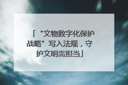 “文物数字化保护战略”写入法规，守护文明需担当