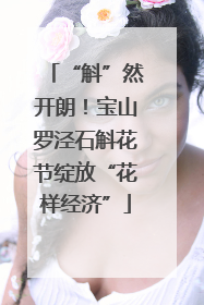 “斛”然开朗！宝山罗泾石斛花节绽放“花样经济”