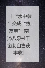 “水中参”变成“致富宝” 南漳八泉村千亩茭白喜获丰收