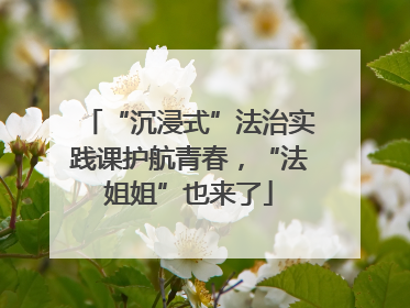 “沉浸式”法治实践课护航青春，“法姐姐”也来了