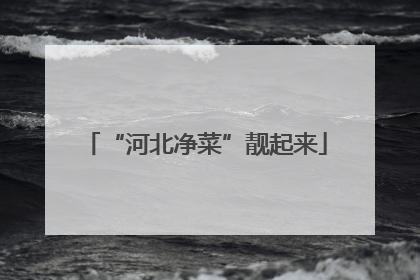 “河北净菜”靓起来