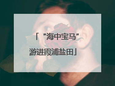 “海中宝马”游进霞浦盐田