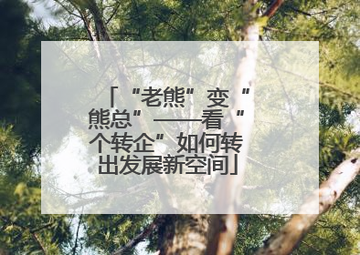 “老熊”变“熊总”——看“个转企”如何转出发展新空间