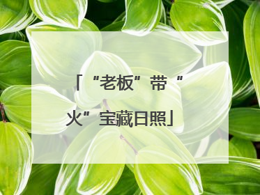 “老板”带“火”宝藏日照
