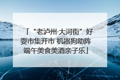 “老泸州·大河街”好耍市集开市 机器狗助阵端午美食美酒亲子乐