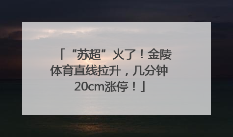 “苏超”火了！金陵体育直线拉升，几分钟20cm涨停！