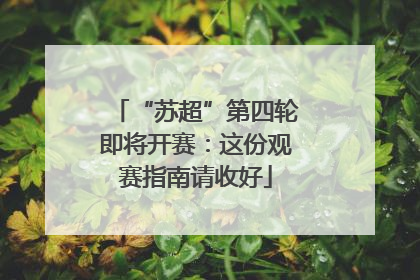 “苏超”第四轮即将开赛：这份观赛指南请收好