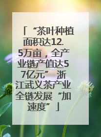 “茶叶种植面积达12.5万亩，全产业链产值达57亿元” 浙江武义茶产业全链发展“加速度”