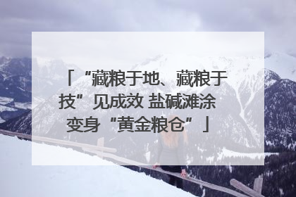 “藏粮于地、藏粮于技”见成效 盐碱滩涂变身“黄金粮仓”